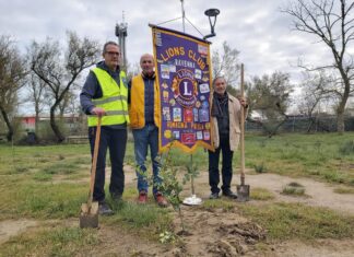 Piantumazione alberi a Lido di Dante per i Lions Club Ravenna Romagna Padusa