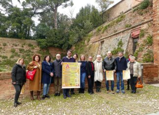 Lugo: convivialità e cultura sotto l’albero per le festività natalizie