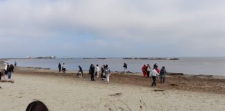 “Adolescenti in gioco per l’Agenda 2030”: un nuovo progetto dedicato alla sostenibilità