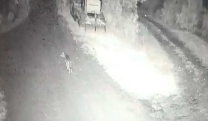 Schermata 2024-11-02 alle 17.36.32