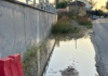 Muretto di via Renaccio. Grillini: “È presente una pozza d’acqua che non drena”