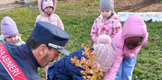 Giornata dell’Albero: i carabinieri forestale mettono a dimora nuove piante insieme ai bambini delle scuole