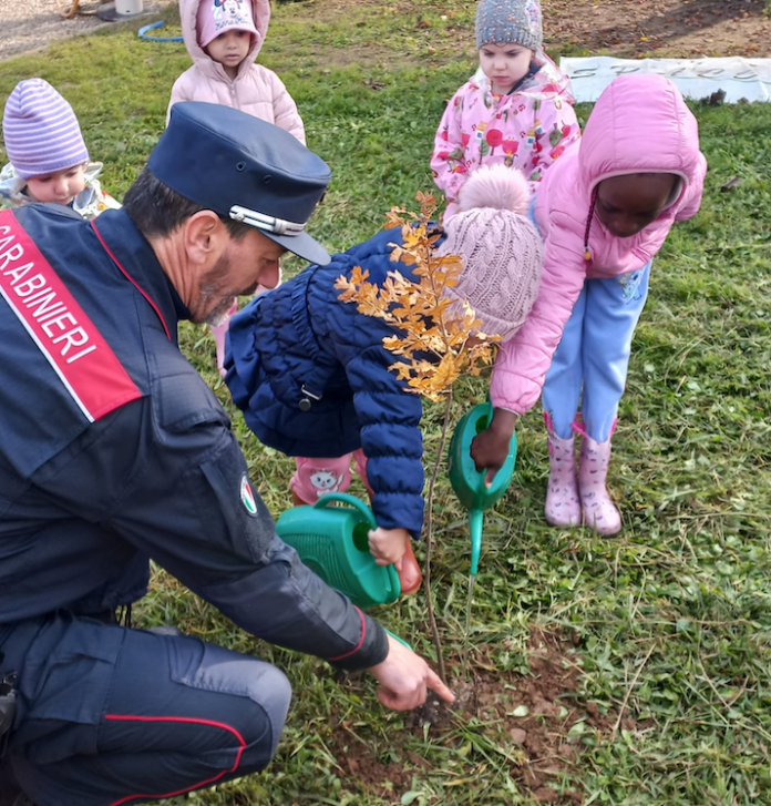 Schermata 2024-11-22 alle 12.15.48