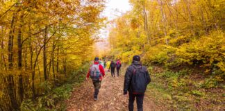 Le camminate di Sentieri e Sapori, domenica 17 novembre la penultima camminata…