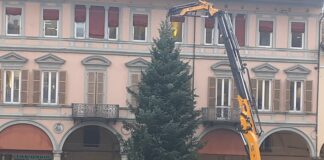 Arrivato in piazza l’albero di Natale