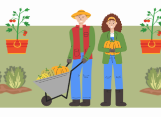 Auser Castel Bolognese: al via il corso “Il bello di coltivare la vita”