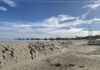 Spiagge Emilia Romagna: Pronti 45 km di duna per difendere il litorale