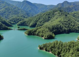 Termina il progetto “Adolescenti in gioco per l’Agenda 2030”