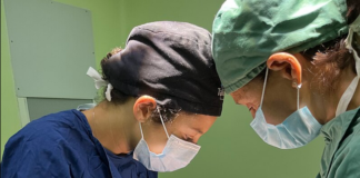 Eletto il nuovo Consiglio direttivo dell’Ordine dei Medici Chirurghi e degli Odontoiatri di Ravenna