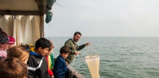 La cooperativa Atlantide premiata a livello mondiale dalla ON semiconductor Foundation