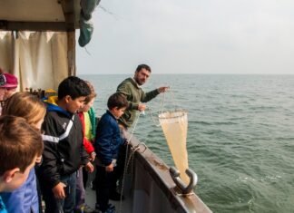 La cooperativa Atlantide premiata a livello mondiale dalla ON semiconductor Foundation