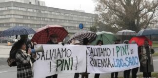 Presidio davanti al Tribunale per salvare i pini di Lido di Savio. “In ogni caso, andremo avanti”