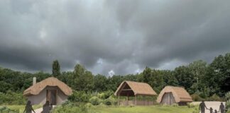 Turismo e natura: approvati progetti esecutivi per Punte Alberete, Cà Aie e Museo NatuRa