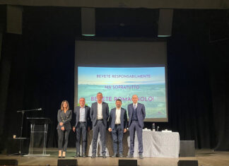 Bilancio “numero uno” per Terre Cevico: Fatturato 206 milioni euro, utile netto 1,6 mln, patrimonio 79,3 mln, export 71 mln