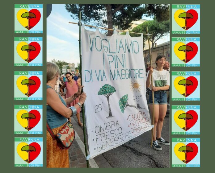 IMG_20241218_083608_649