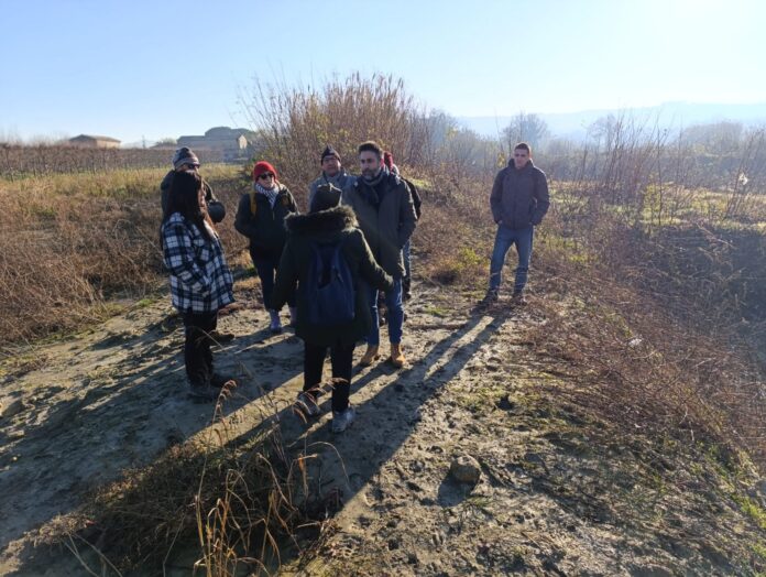 Immagine WhatsApp 2024-12-20 ore 12.30.03_c4d74232