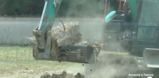 Otto parchi al centro di un nuovo programma per abbattere gli effetti dei cambiamenti climatici