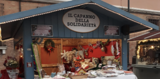 Ancisi (LpRa): Natale 2024. Il gattile come una grotta