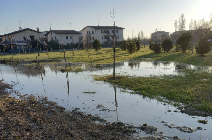 Screenshot 2024-12-27 alle 14.42.05