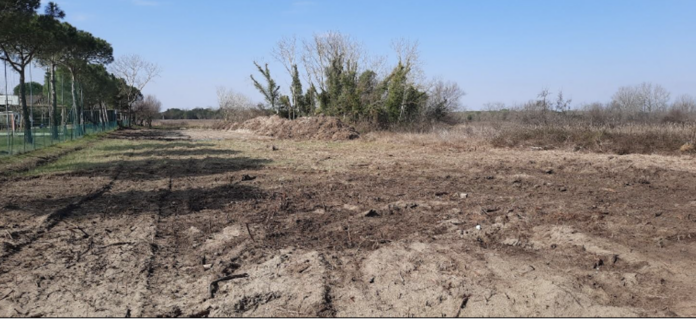 Screenshot 2024-12-28 alle 08.15.27