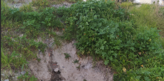 Voragine in via Fratelli Bandiera: ad Hera il compito di ripristinare l’argine