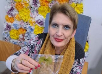 Asp Bassa Romagna: decorazioni natalizie create dagli anziani di Vinovo (To) per gli ospiti del Sassoli