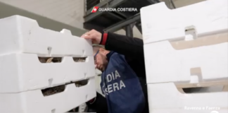 Pulisce il pesce per strada e diventa virale sui social. Merce sequestrata dalla Guardia Costiera