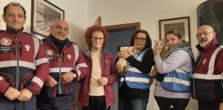 Consegnati alla proprietaria i due gatti salvati durante l’alluvione a Traversara
