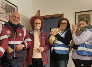 Consegnati alla proprietaria i due gatti salvati durante l’alluvione a Traversara