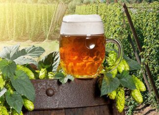 Manovra: Coldiretti/Consorzio birra, riduzione accisa salva filiera birra agricola 100% italiana