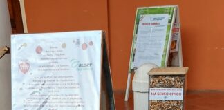 Massa Lombarda: nel 2024 sempre più volontari hanno pulito la città