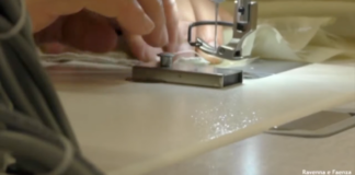 Appello per aiutare le donne vittime di violenza a trovare un nuovo lavoro