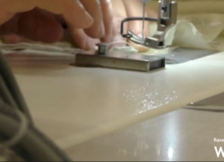 Appello per aiutare le donne vittime di violenza a trovare un nuovo lavoro