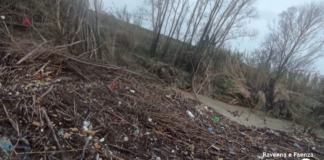 La legna si accumula lungo il Montone: continuano le segnalazioni dei residenti