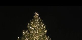 Si accende l’albero di Natale in Piazza del Popolo a Ravenna