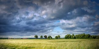 Massa Lombarda: al via il ciclo di incontri “Ecososteniamoci”