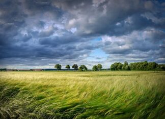 Massa Lombarda: al via il ciclo di incontri “Ecososteniamoci”