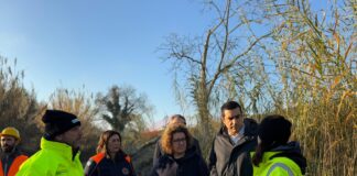 Protezione civile. In corso i lavori di rimozione degli accumuli di legname dall’alveo del Montone, proseguiranno anche nei prossimi giorni.