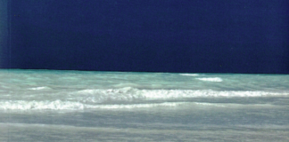 “Verso il blu”: il nuovo libro di Nevio Galeati presentato a Bottega Bertaccini