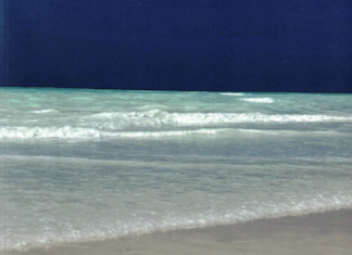 “Verso il blu”: il nuovo libro di Nevio Galeati presentato a Bottega Bertaccini