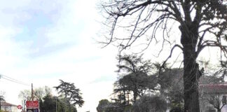 Tamponamento fra due auto sulla via Emilia: una ragazza trasportata al Bufalini