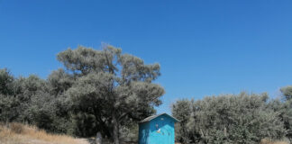 Italia Nostra: Capanni balneari storici ravennati. Il Comune li protegge abbattendoli