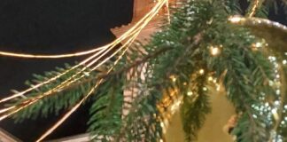 Massa Lombarda: premiazione di “Una Massa di Giardini”