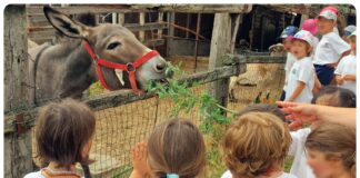 La scuola dell’Infanzia “Ghidieri” apre le porte per l’open day