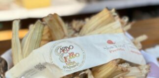 Gennaio in Romagna tra arte, cultura e le tradizionali sagre