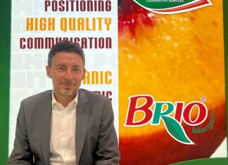 Il Gruppo Alegra torna a Marca 2025 da protagonisti