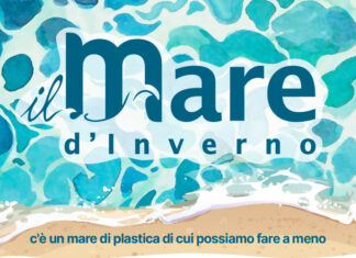 Domenica 26 gennaio appuntamento per pulire la spiaggia libera di Cervia