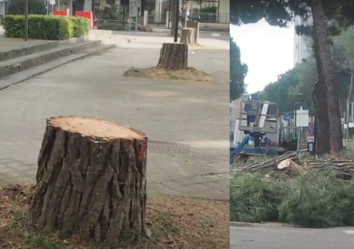 IMG_20250111_082428_294