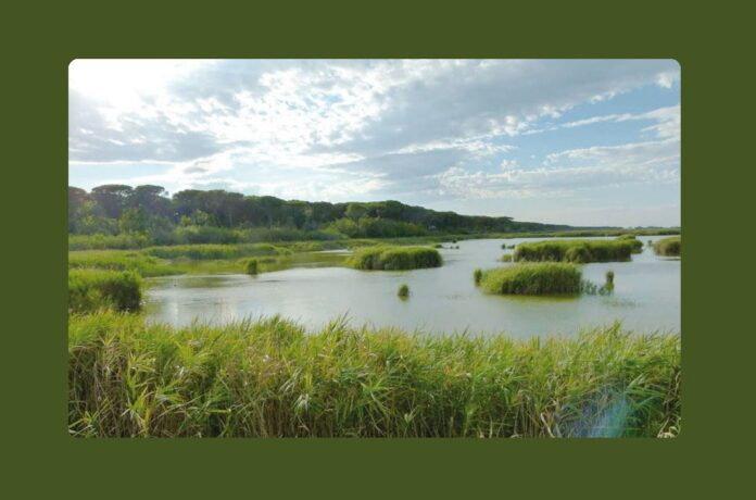 IMG_20250121_085533_082