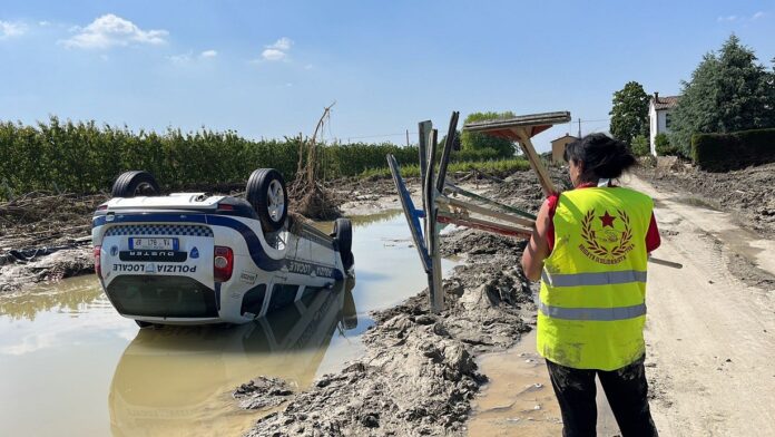 IMG_20250129_084901_277